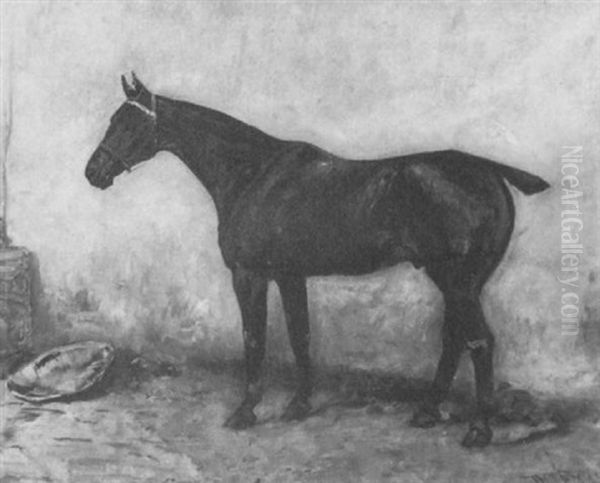 A Black Horse In A Stall Oil Painting by John Emms