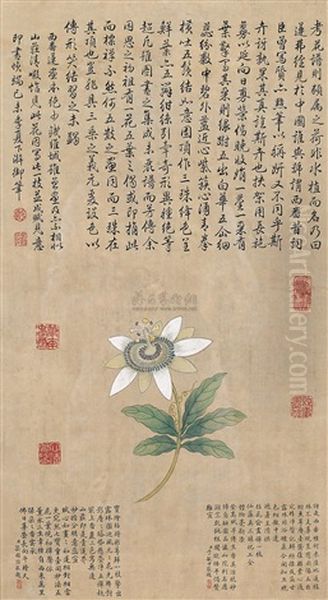 Flowers Oil Painting by  Emperor Qianlong