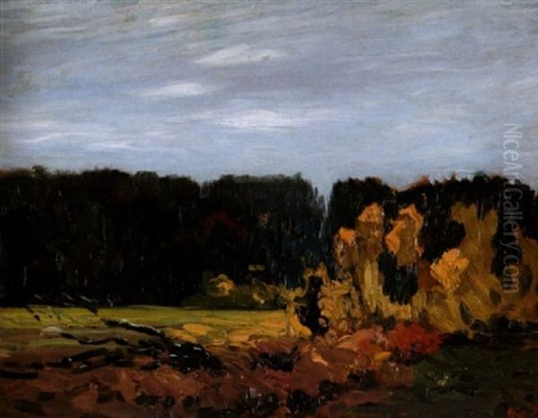 Landschaft Bei Worpswede Im Herbst Oil Painting by Hans am Ende