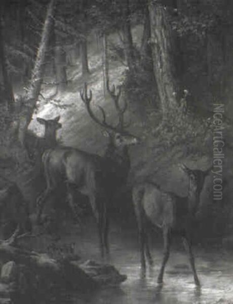 Deer In A Forest Glade At Water's Edge Oil Painting by Edouard Ender