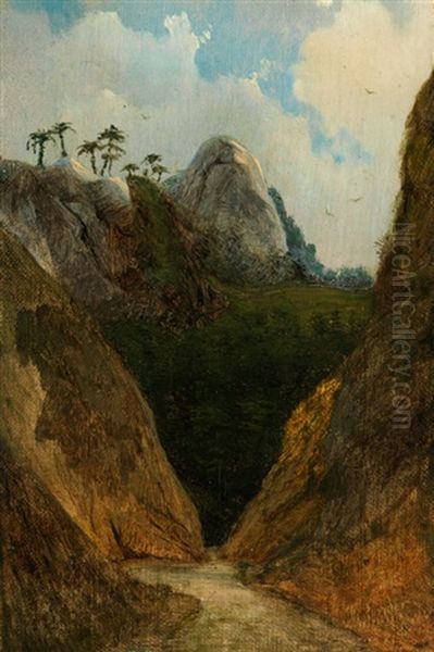 Blick In Eine Brasilianische Bergschlucht Oil Painting by Thomas Ender