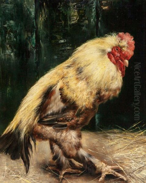 Rooster Oil Painting by Piet Van Engelen