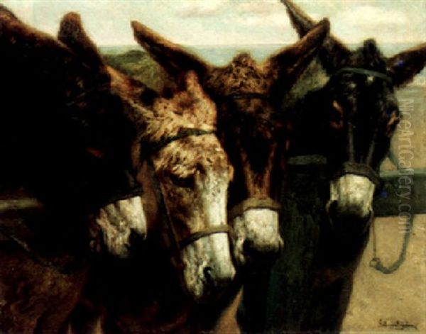 Donkeys Oil Painting by Piet Van Engelen