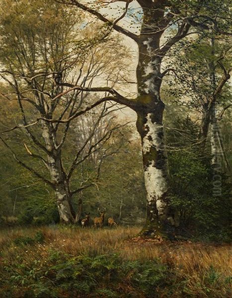 Hirsche Auf Einer Waldlichtung Oil Painting by Georg Engelhardt