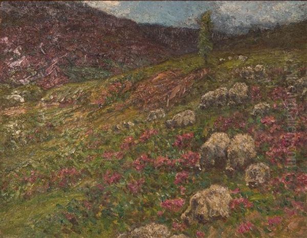 Sheep In Heather Oil Painting by John Joseph Enneking