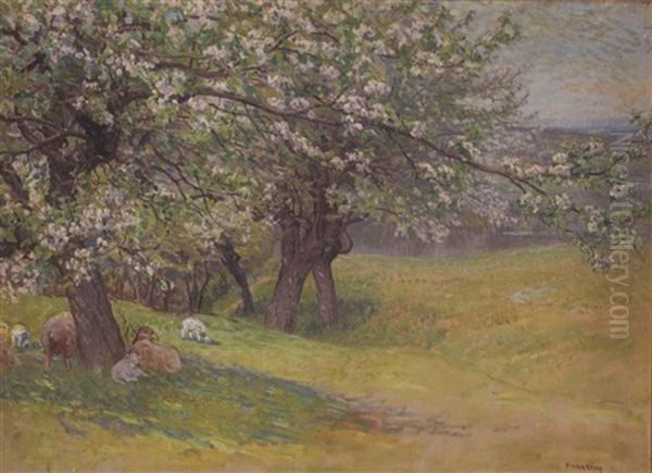 A Rolling River Landscape With Sheep Under The Apple Blossoms Oil Painting by John Joseph Enneking