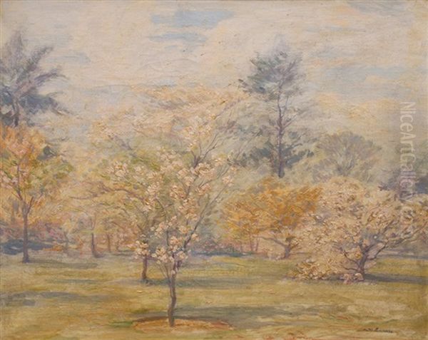 Cherry Blossom In Kew Gardens Oil Painting by Augustus William Enness