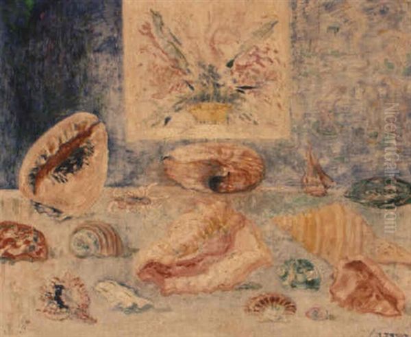 Coquillages Et Plantes Marines Oil Painting by James Ensor