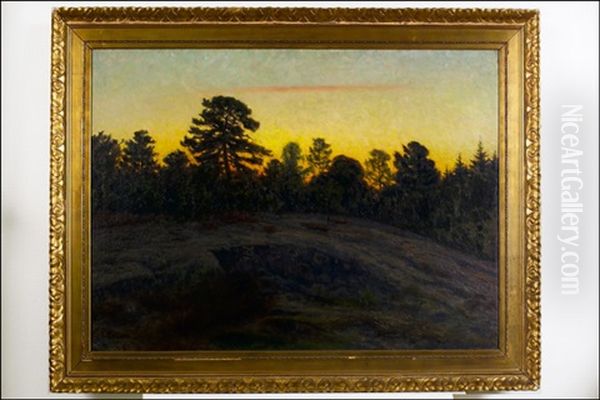 Kesailta (sommarkvall) Oil Painting by Elias Erdtman