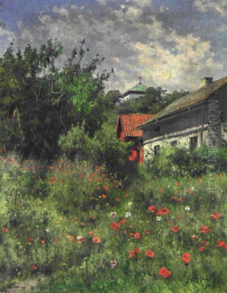 Gammal Tradgard Med Blommande Vallmo Oil Painting by Johan Ericson