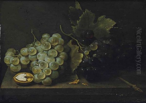 White And Red Grapes With An Open Walnut On A Stone Ledge Oil Painting by Jacob Fopsen van Es