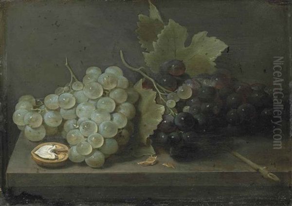 White And Red Grapes With An Open Walnut On A Stone Ledge Oil Painting by Jacob Fopsen van Es