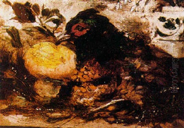 Pheasant Oil Painting by William Etty