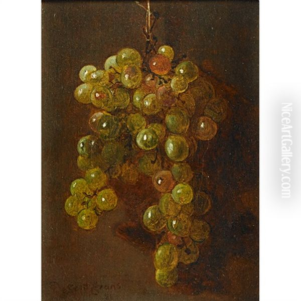 Still Life With Grapes Oil Painting by De Scott Evans