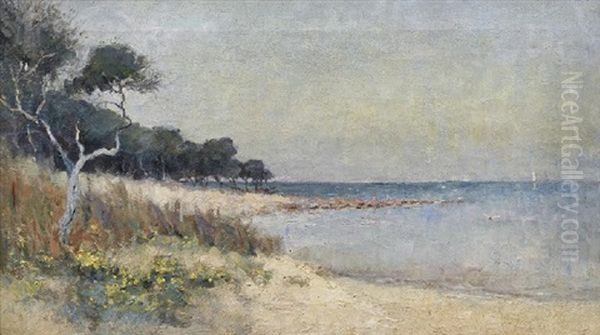 Ricketts Point, Near Sandringham Oil Painting by Jessie Laver Evans