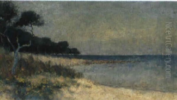 Ricketts Point Near Sandringham Oil Painting by Jessie Laver Evans