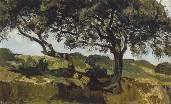 Paysage D'algerie I (1897-1898) Oil Painting by Henri Evenepoel