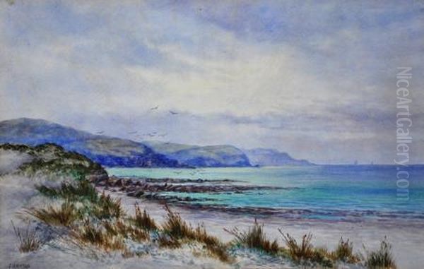 Along The Coast, Fleurieu Oil Painting by James Ashton