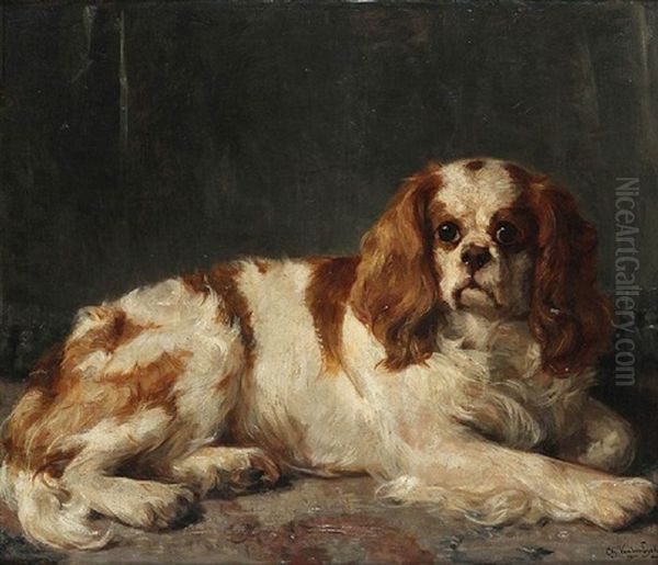 Lying Cavalier King Charles Spaniel Oil Painting by Charles van den Eycken I