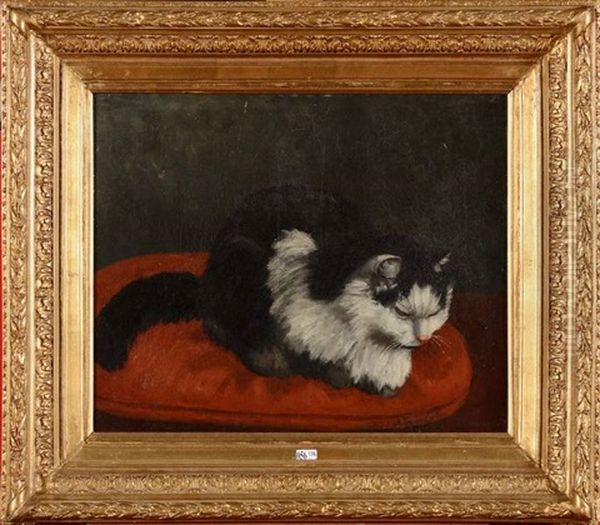 Chat Endormi Sur Un Coussin Rouge Oil Painting by Charles van den Eycken