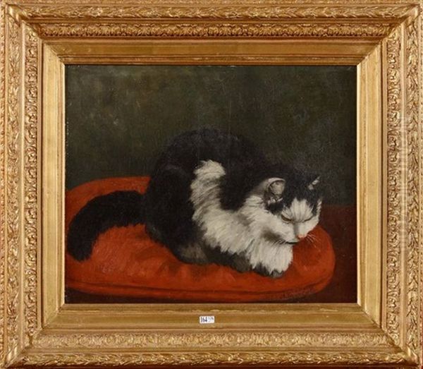 Chat Endormi Sur Un Coussin Rouge Oil Painting by Charles van den Eycken