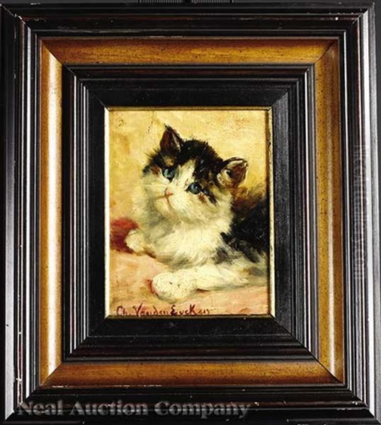 Portrait Of A Kitten Oil Painting by Charles van den Eycken