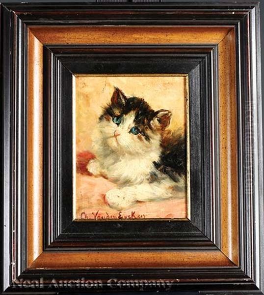 Portrait Of A Kitten Oil Painting by Charles van den Eycken