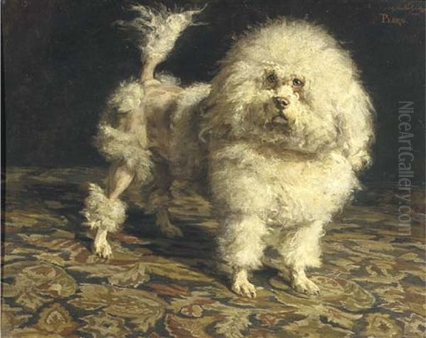 Pedro: Portrait Of A Poodle Oil Painting by Charles van den Eycken