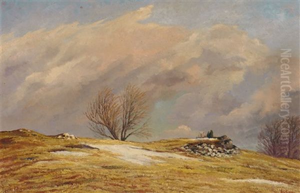 Sturm Im Vorfruhling Zwischen Engelhof Und Diggoldsburg Ostlich Oil Painting by Eugen Faber