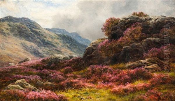 Among The Galloway Heather Oil Painting by James Faed the Younger