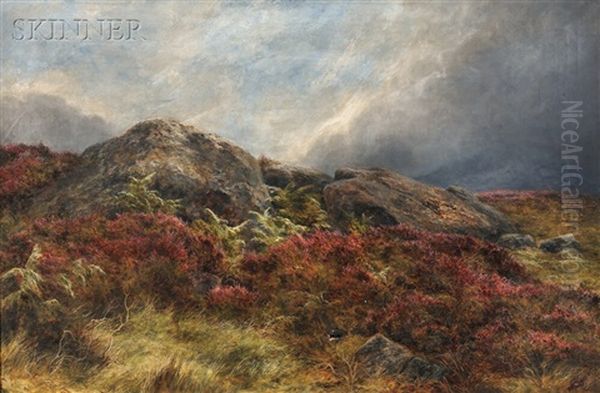 Rock And Heather In Scotland Oil Painting by James Faed the Younger