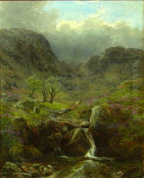 Sheep Above A Highland Brook Oil Painting by James Faed the Younger