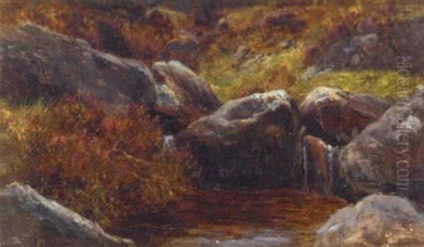 Rocks And Heather Oil Painting by James Faed the Younger