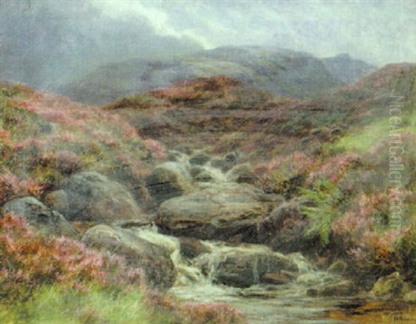 A Highland Burn, Invernesshire Oil Painting by James Faed the Younger