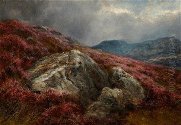 Heather On A Hillside Oil Painting by James Faed