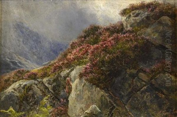 A Heather Covered Rocky Outcrop Oil Painting by James Faed