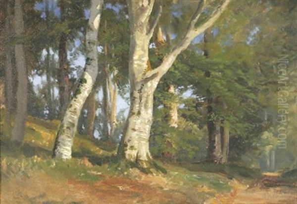 Lichtdurchfluteter Wald Oil Painting by Carl Ludwig Fahrbach