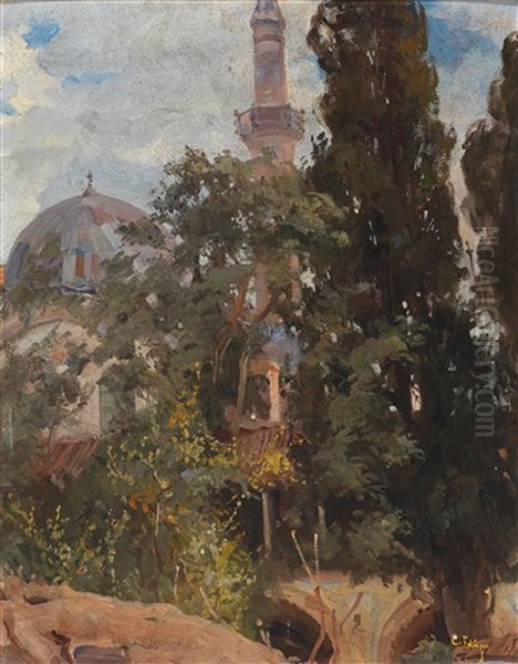 Piali Pascha ... In Cassim Pascha Bei Stambul Oil Painting by Carl Fahringer