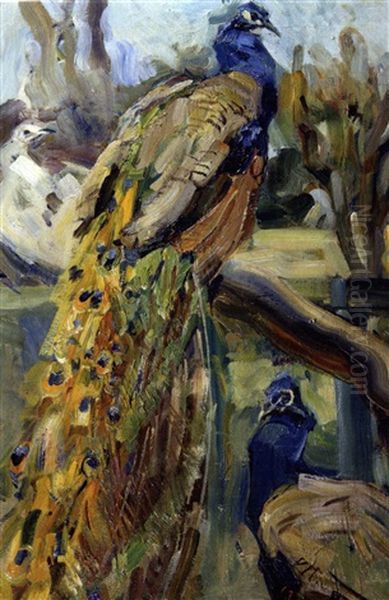 Pfau Oil Painting by Carl Fahringer