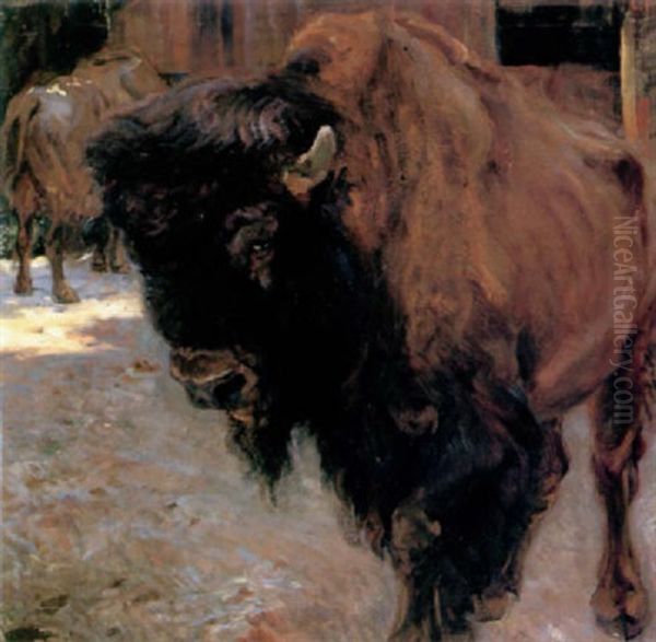 Bison Oil Painting by Carl Fahringer