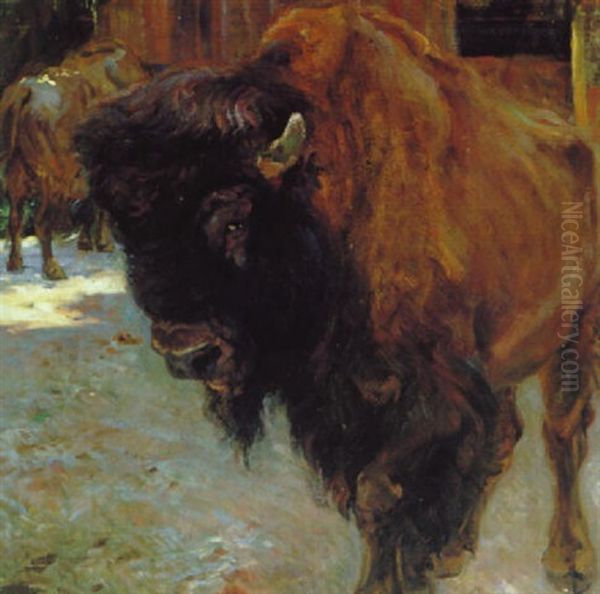 Bison Oil Painting by Carl Fahringer