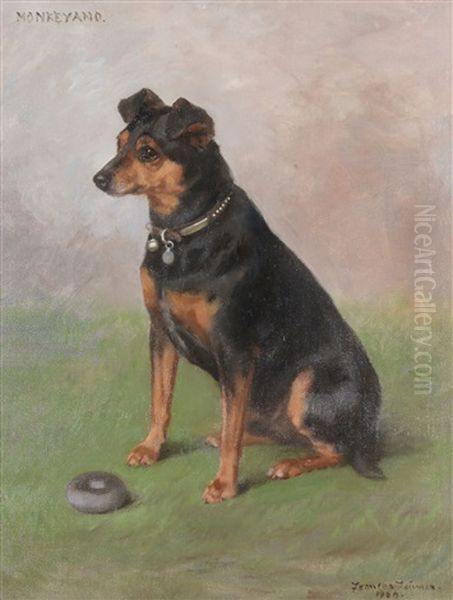 Seated Manchester Terrier With A Toy Oil Painting by Frances C. Fairman