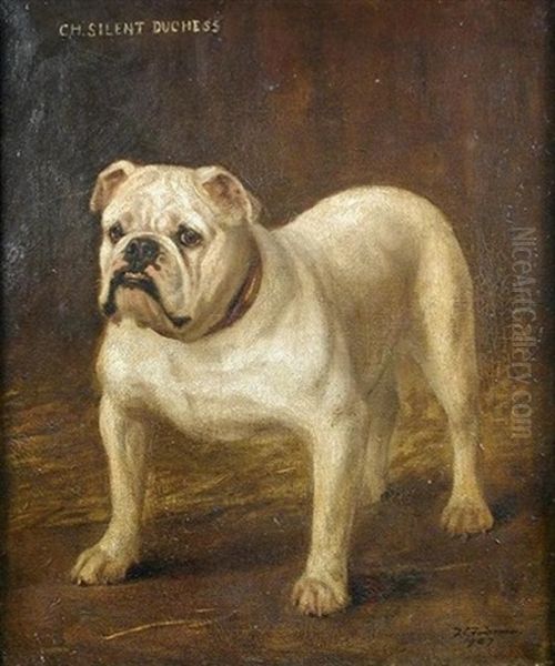 Champion "silent Duchess", A Bulldog Oil Painting by Frances C. Fairman