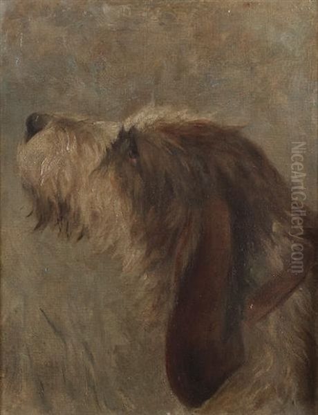 Sketch Of An Otterhound Oil Painting by Frances C. Fairman