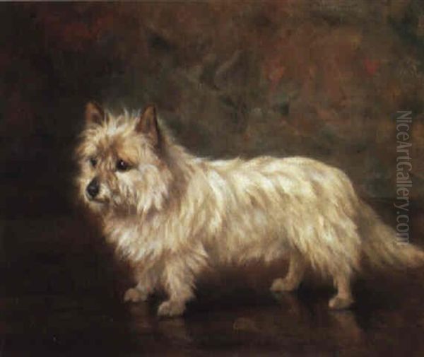 A West Highland Terrier Oil Painting by Frances C. Fairman