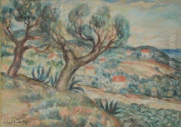 Paysage De Cagnes Sur Mer Oil Painting by Abel Faivre