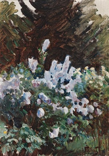 Blossoming Shrub Oil Painting by Julian Falat