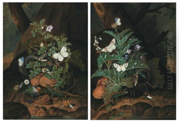 Two Forest Floors With A Snake, Lizard, Butterflies And Snails Amongst Weeds On A Riverbank Oil Painting by Johann Falch