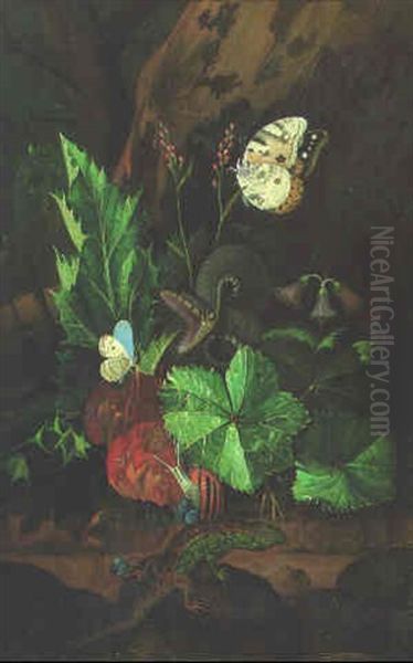 Forest Floor Still Life: A Snake Attacking A Chalk Hill Blue Oil Painting by Johann Falch