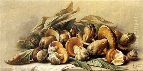 Stilleben Mit Granatapfeln (+ Stilleben Mit Pilzen Und Edelkastanien; Pair) Oil Painting by Giuseppe Falchetti